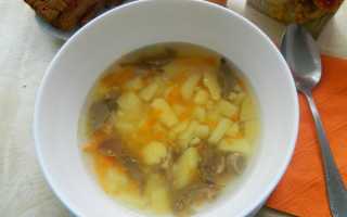 Суп из сыроежек: сытный, вкусный, ароматный